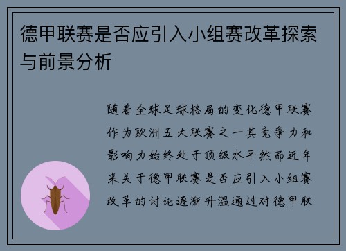 德甲联赛是否应引入小组赛改革探索与前景分析