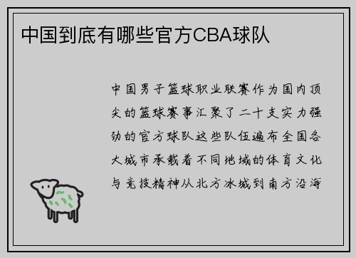 中国到底有哪些官方CBA球队