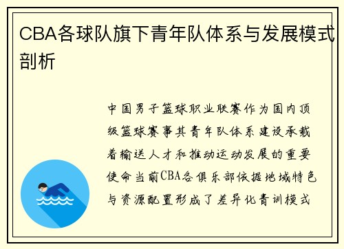 CBA各球队旗下青年队体系与发展模式剖析